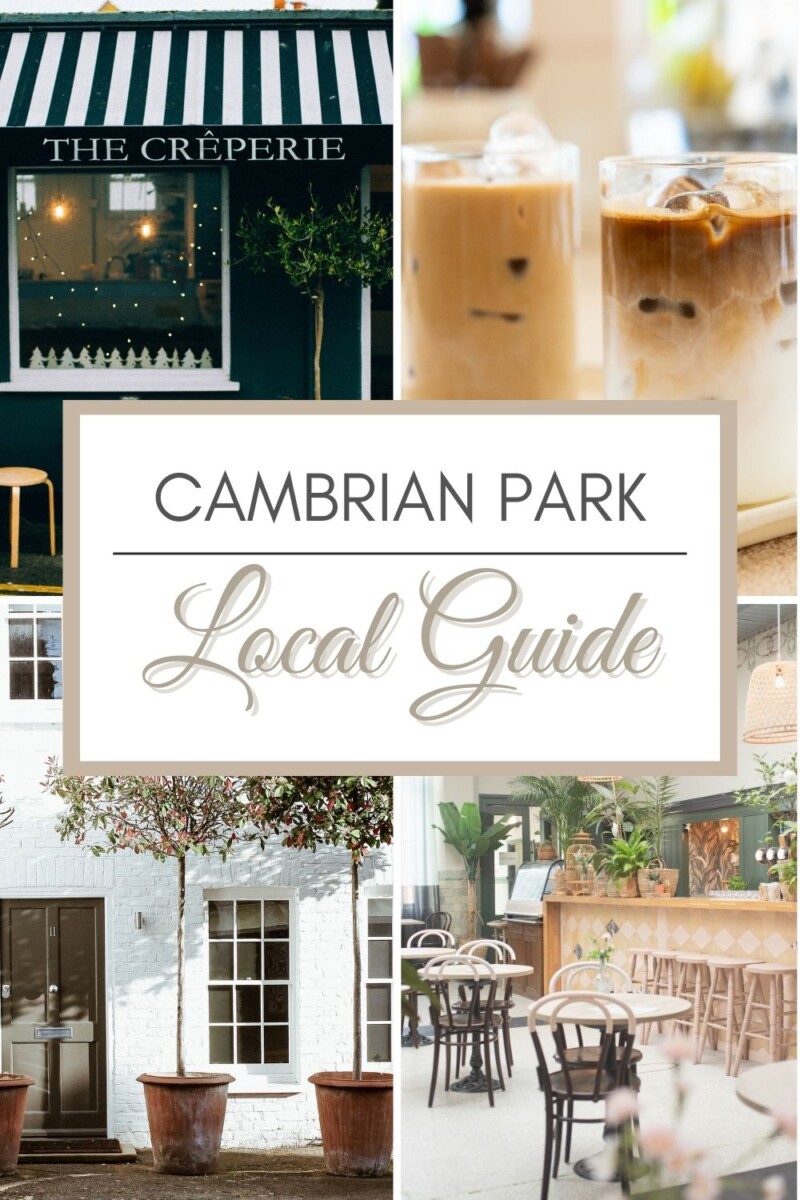 Cambrian Park Community Silicon Valley Real Estate Agent
